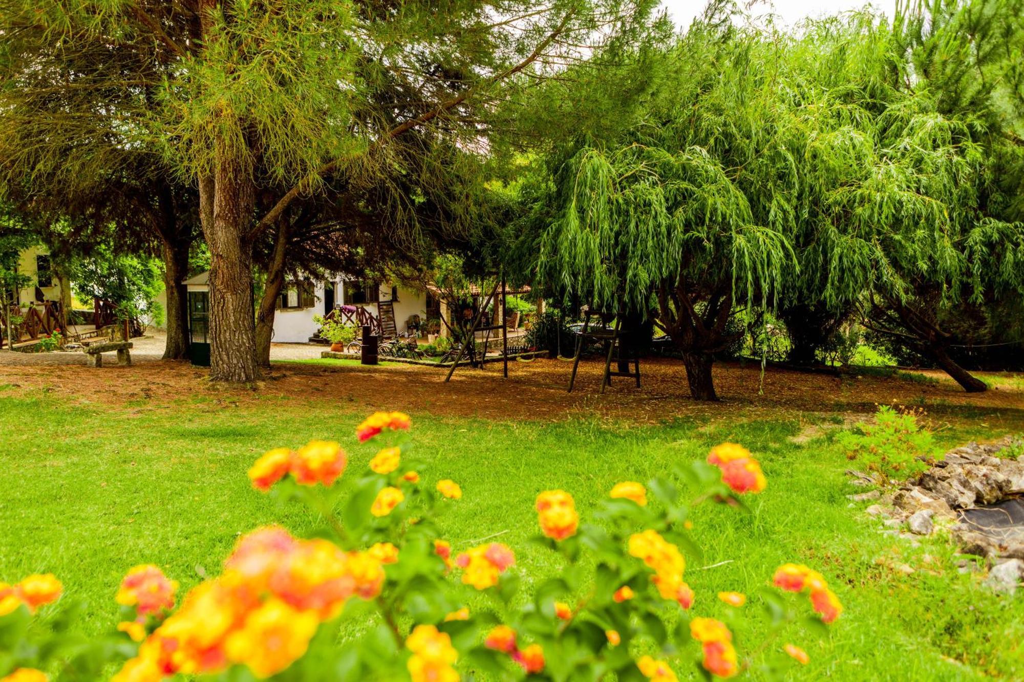 Quinta O Refugio Villa Azambuja Exteriör bild