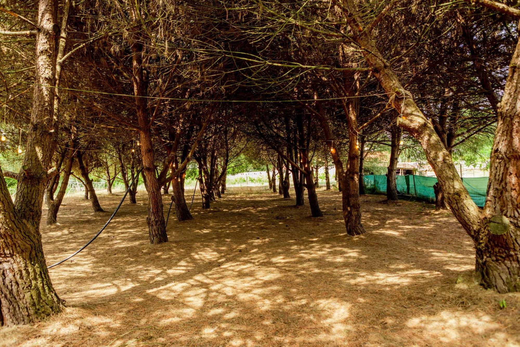 Quinta O Refugio Villa Azambuja Exteriör bild