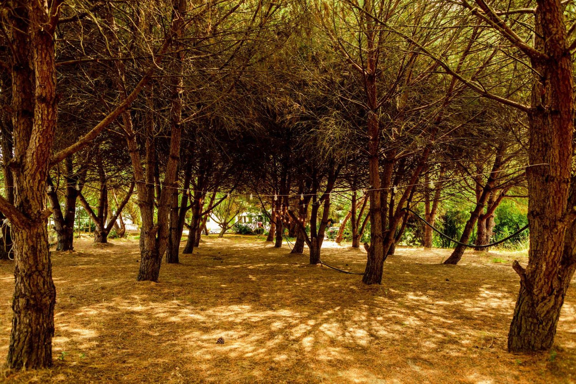 Quinta O Refugio Villa Azambuja Exteriör bild