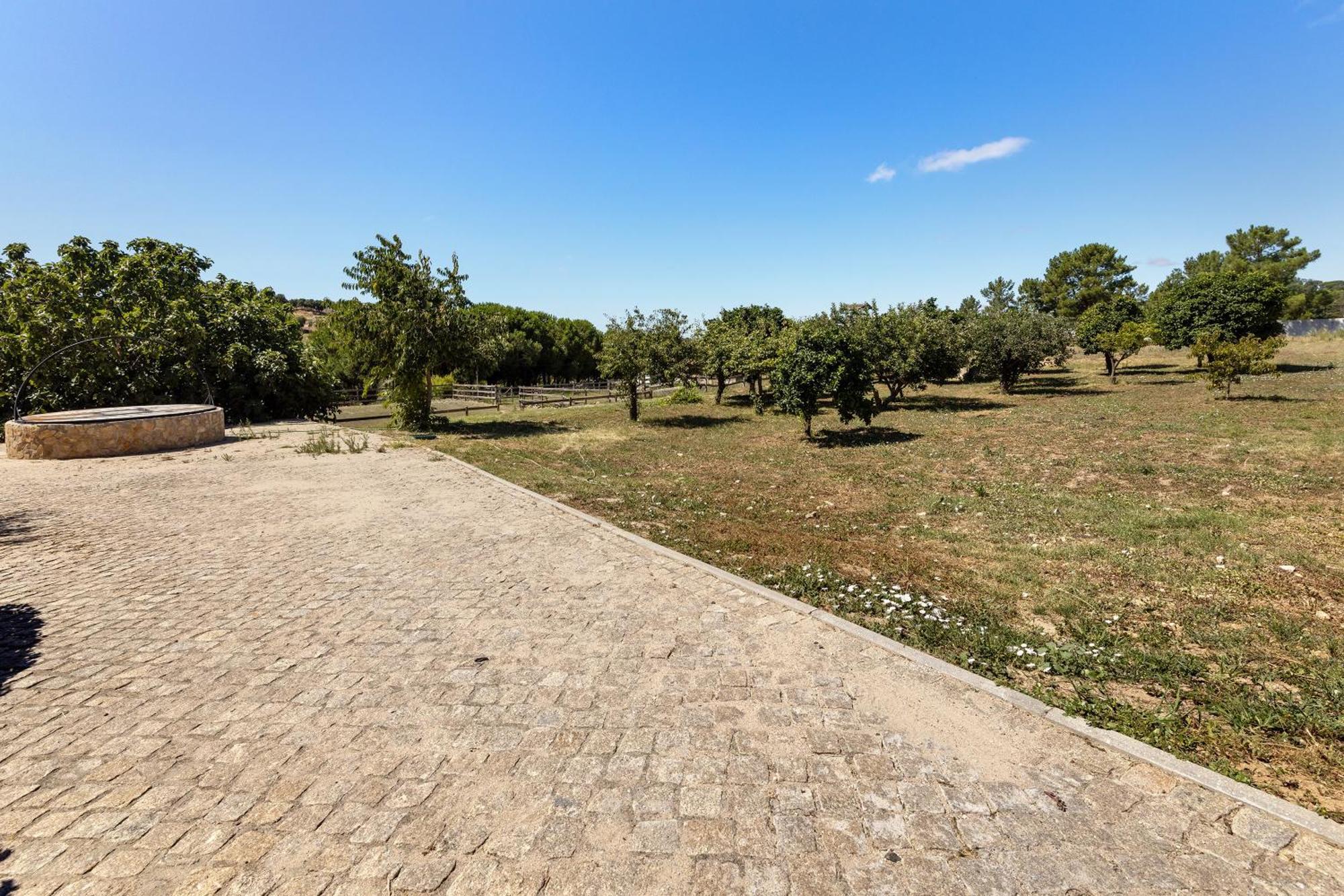 Quinta O Refugio Villa Azambuja Exteriör bild